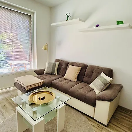 Tamara - Slnecnice Bratysława