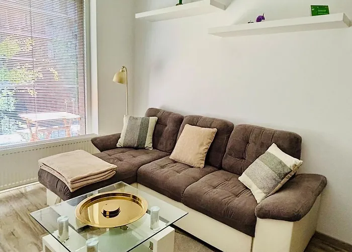 Tamara - Slnecnice 브라티슬라바