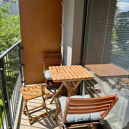 Tamara - Slnecnice * Pozsony